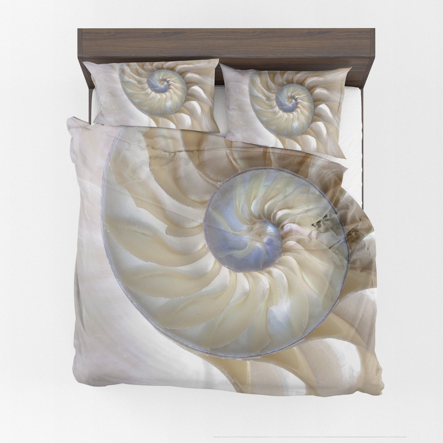 Nautilus Shell Comforter or Duvet Cover Ocean bedding fibonacci duvet beige comforter shell comforter golden ratio duvet light color bedding