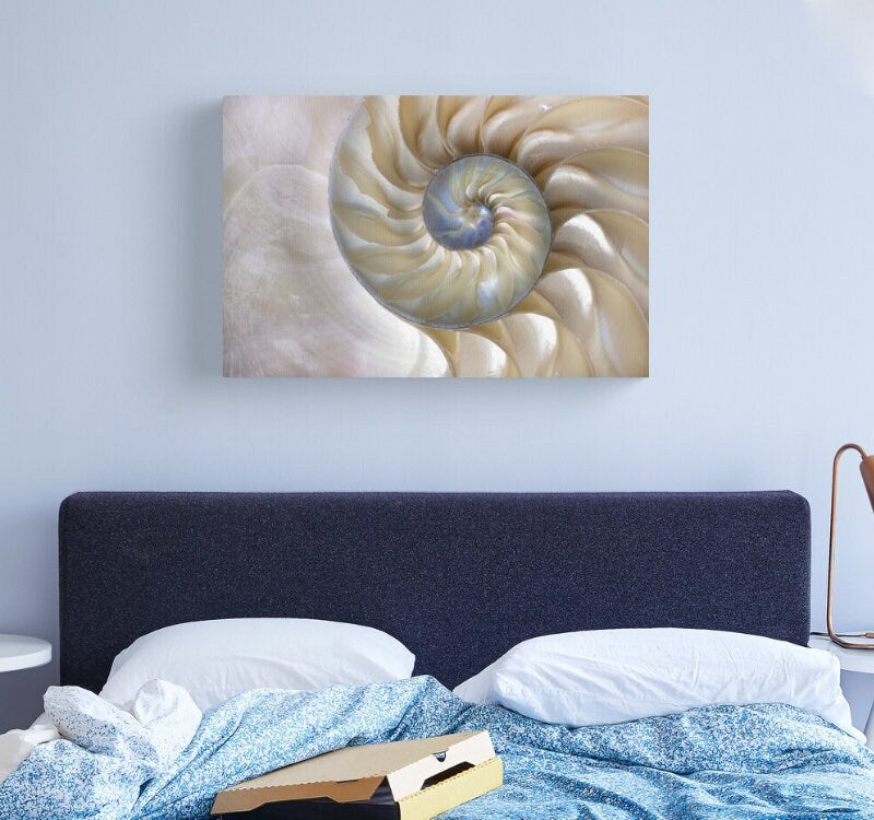 Nautilus Shell Canvas Art Fibonacci Artwork sacred geometry beige beach ocean canvas