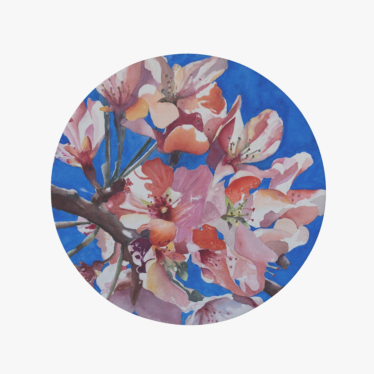 Floral Blue Pink Rug magnolia floral Rug botanical Rugs botanicals Floor Rug florals Rugs 3x5 4x6 5x7 5x8 8x10 9x12 Large rug