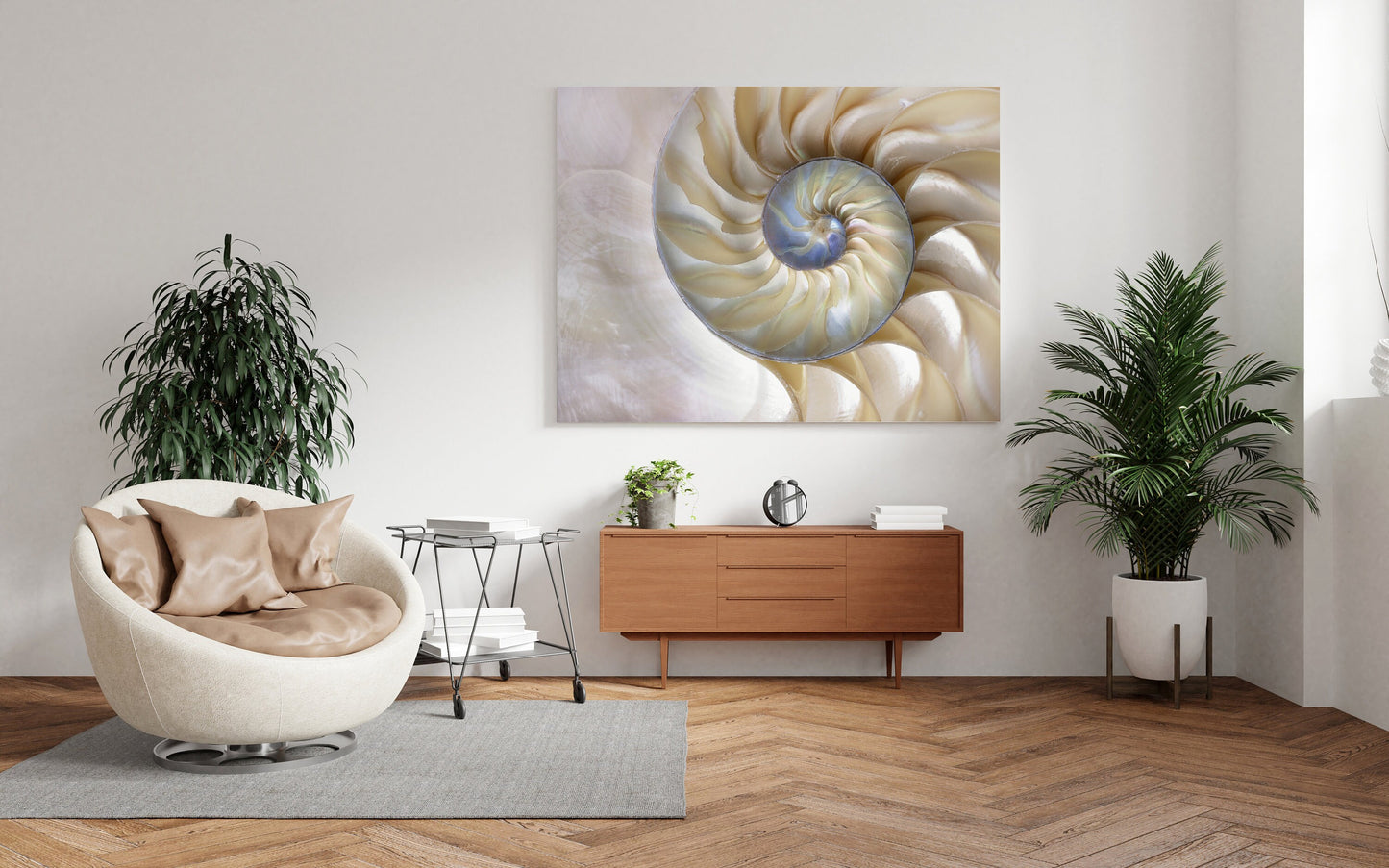 Nautilus Shell Canvas Art Fibonacci Artwork sacred geometry beige beach ocean canvas