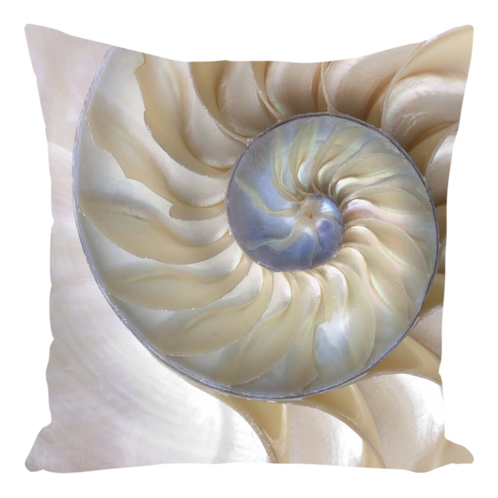 Shell Pillow Nautilus Pillow Ocean Pillows fibonacci Pillow Beige Pillows unique Gifts Pillows For Couch Ocean Decor Shell Pillow Off White