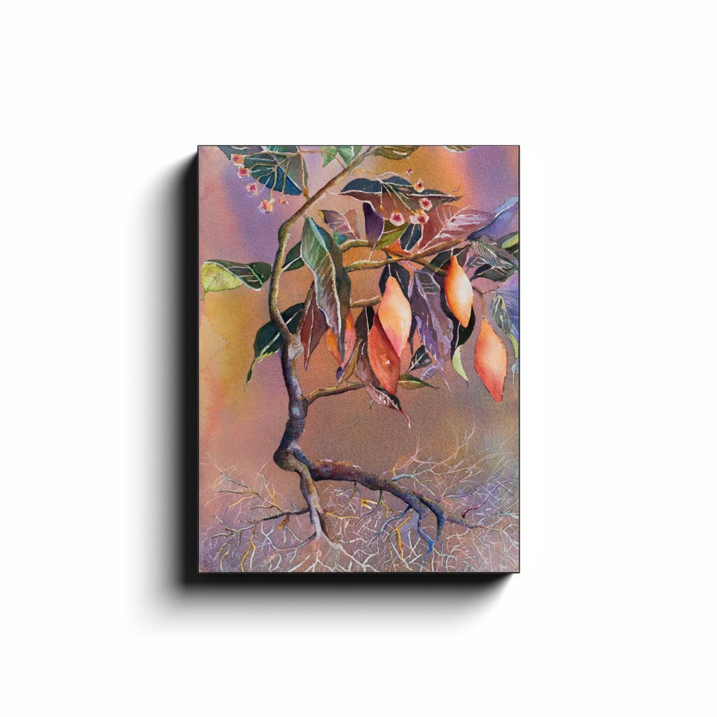 Tabernanthe Canvas Wrap artwork africa plant art African root watercolor